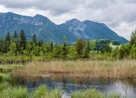 شقة Gaestehaus Aicher - Chiemgau Karte *