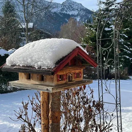 Gaestehaus Aicher - Chiemgau Karte انزل